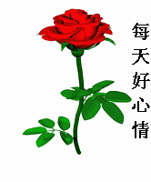 163115f9f6f555yyfy97rz.gif