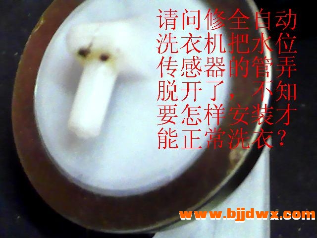 图片 00423.JPG