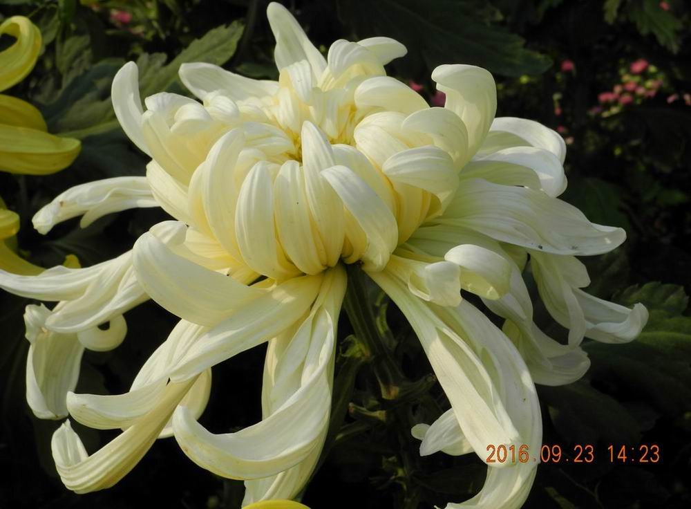 DSCN5289.JPG