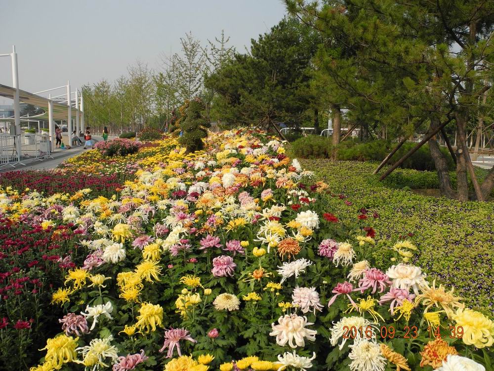 DSCN5316.JPG