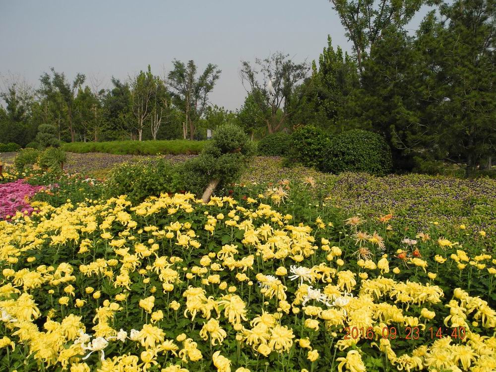 DSCN5319.JPG