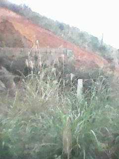 IMG0095A.jpg