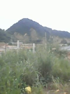 IMG0096A.jpg