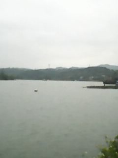 IMG0381A.jpg