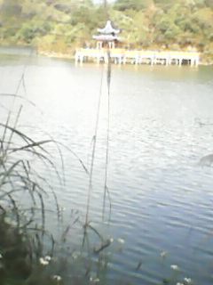IMG0007A.jpg