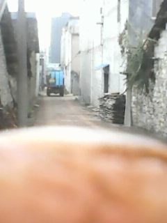 IMG0009B.jpg
