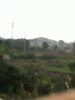 IMG0010A.jpg