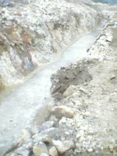IMG0014A.jpg