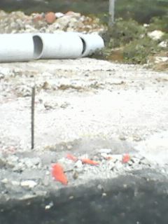 IMG0013B.jpg