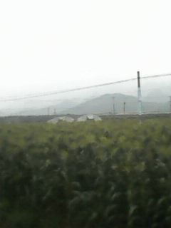 IMG0017A.jpg