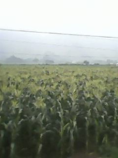 IMG0019A.jpg