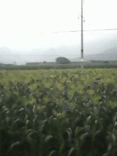 IMG0018A.jpg