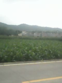 IMG0022A.jpg