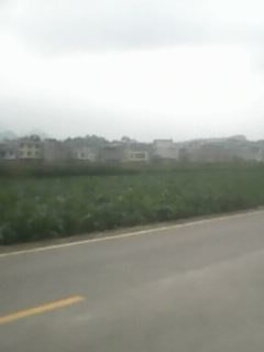 IMG0021A.jpg