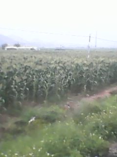 IMG0020A.jpg