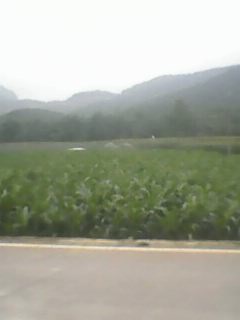IMG0023A.jpg