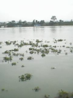 IMG0026A.jpg