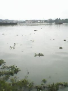 IMG0025A.jpg