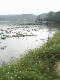 IMG0029A.jpg