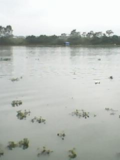 IMG0027A.jpg