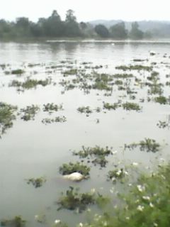 IMG0028A.jpg