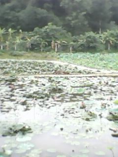 IMG0035A.jpg