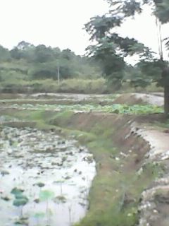 IMG0033A.jpg