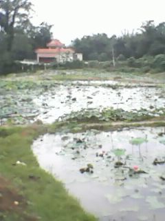 IMG0037A.jpg