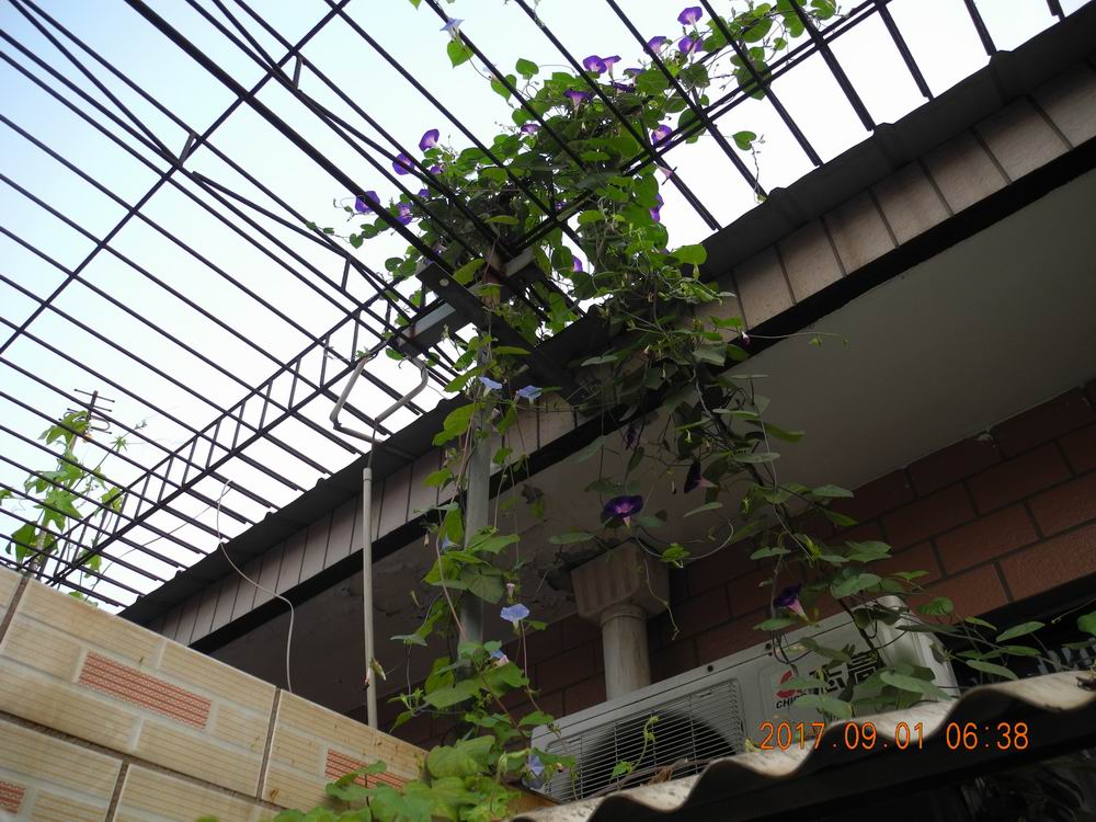 DSCN7477.JPG