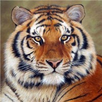 212_MOLJ2277E2LIH887EECO_square.png
