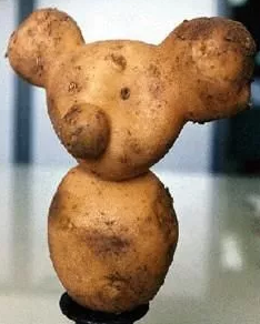 土豆熊.png
