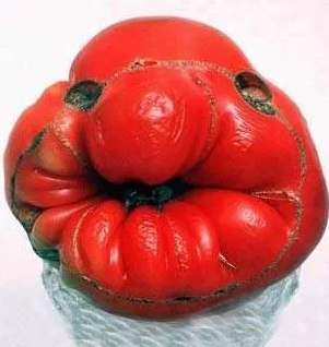 这张脸有点像小丑.png
