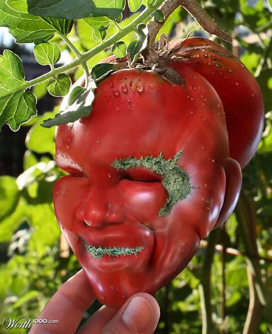 大自然的鬼斧神工.png