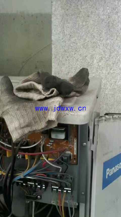 mmexport1517206035031.jpg