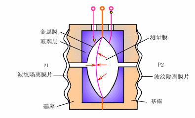 20180327_173237_044.jpg