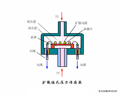 20180327_173237_068.jpg