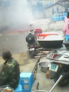 IMG0004A.jpg