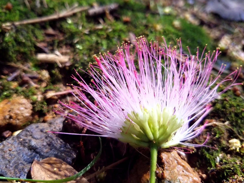 20180522_092844.jpg