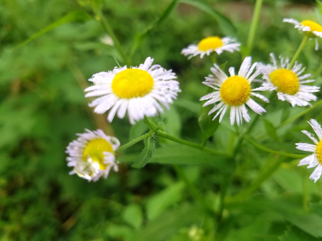 20180522_091407.jpg