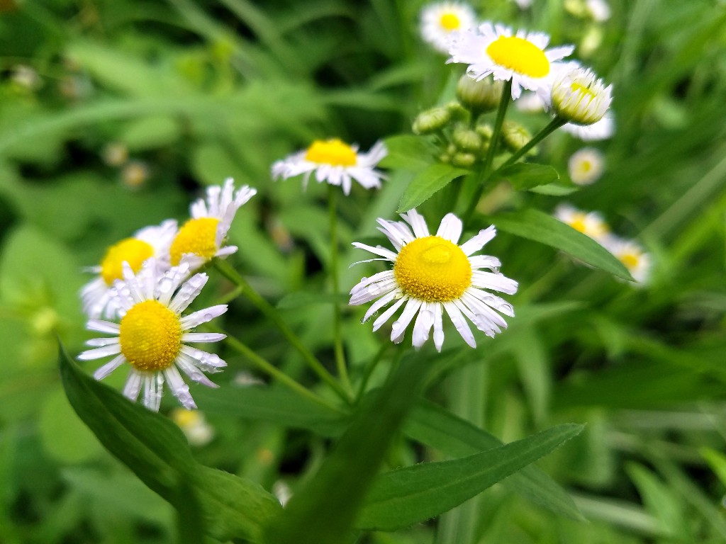 20180522_091505.jpg