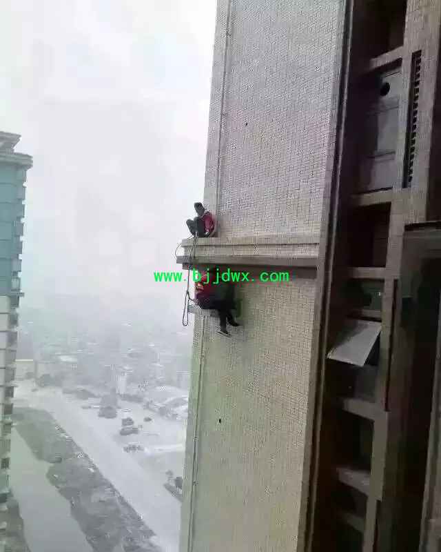 3.webp.jpg