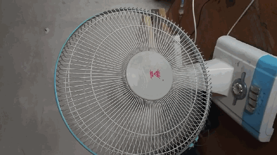 VID_201806_clip.gif