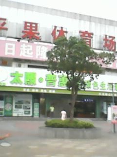 IMG0011A.jpg