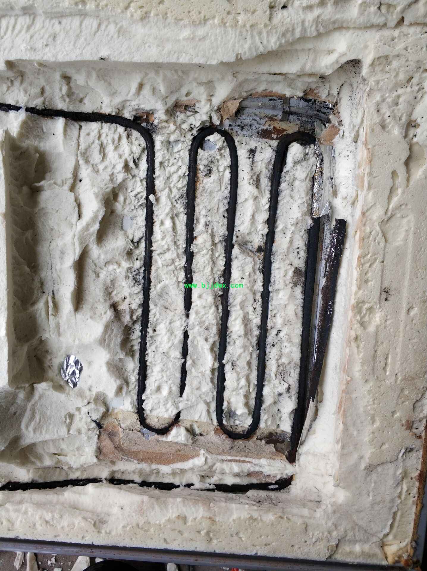 给一台冰箱动手术不用打麻药4.jpg