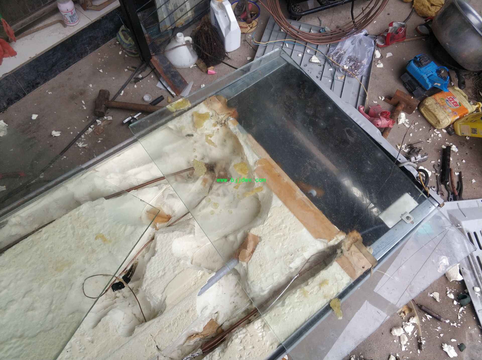 给一台冰箱动手术不用打麻药5.jpg