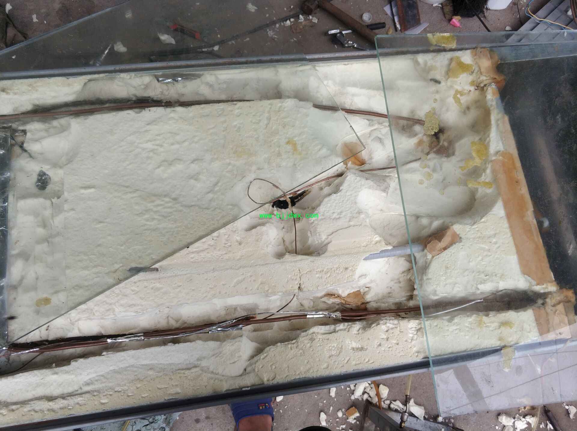给一台冰箱动手术不用打麻药6.jpg