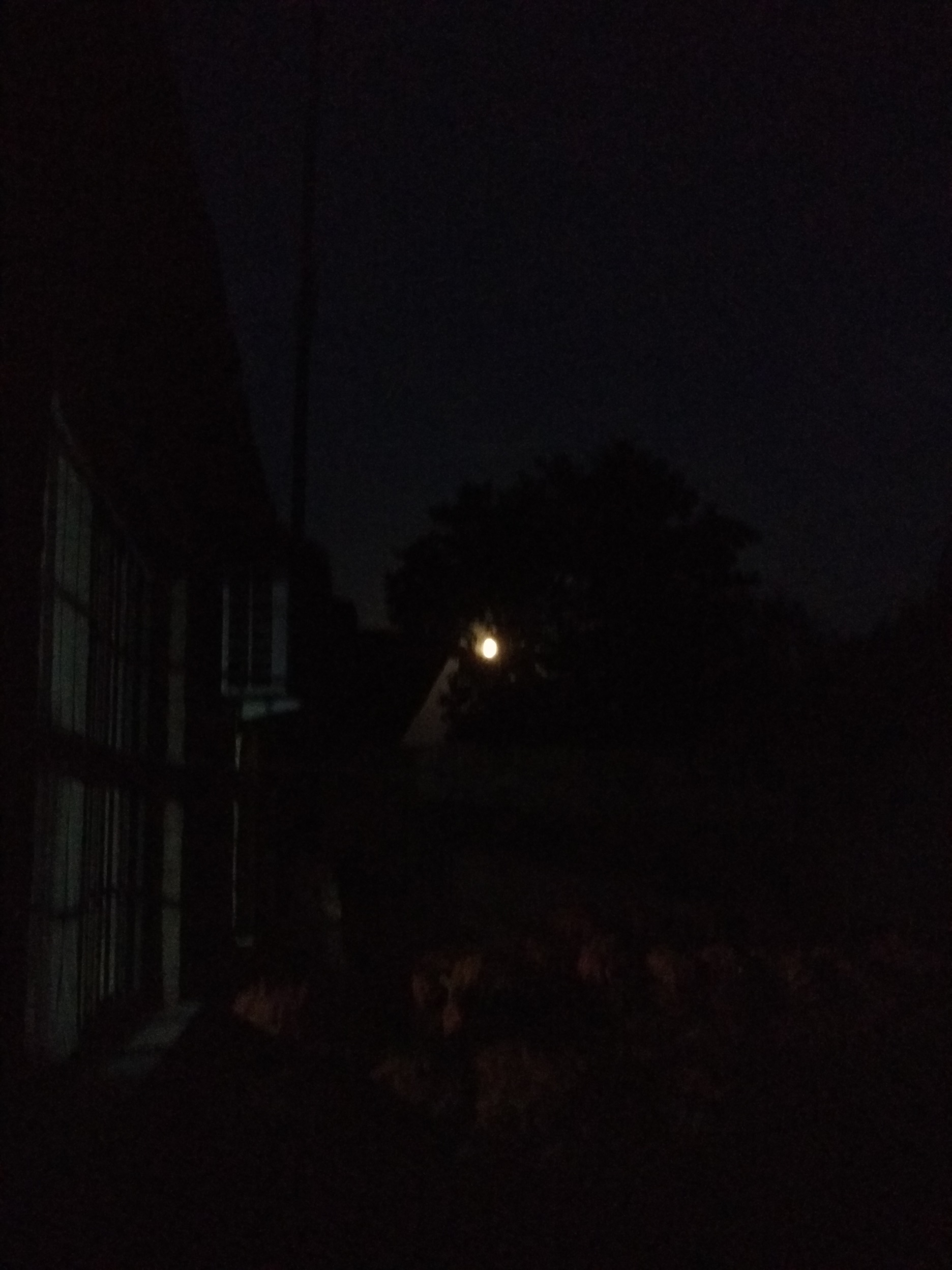 IMG_20180924_185425.jpg