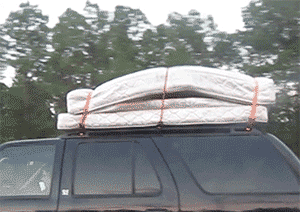用爱发电电动车.gif