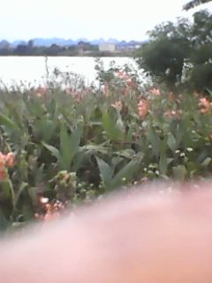 IMG0030A.jpg