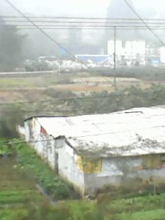 IMG0041A.jpg